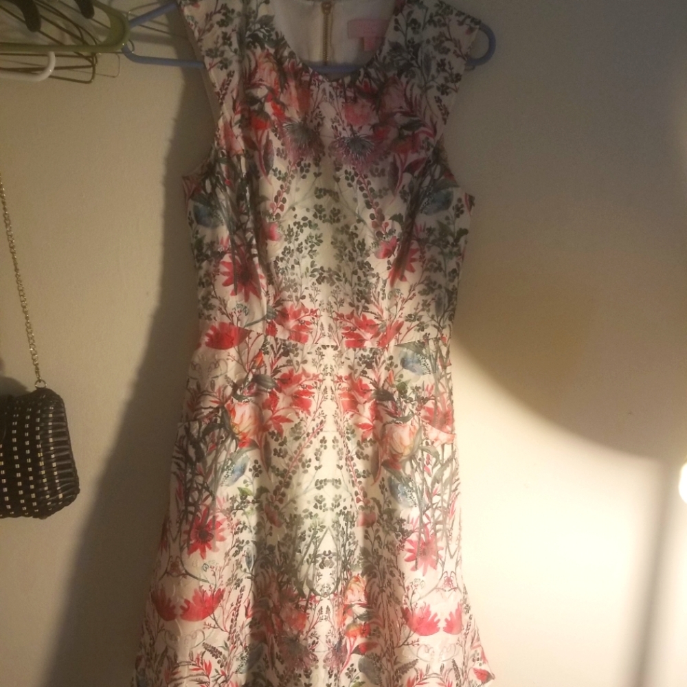 Ted Baker London sew in love floral dress